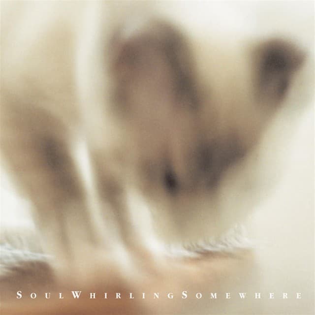 Album Review: Pyewackit – Soul Whirling Somewhere 